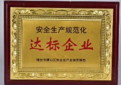 安全生產規(guī)范化達標企業(yè)
